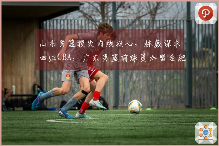 山东男篮损失内线核心，林葳谋求回归CBA，广东男篮前球员加盟合肥狂风